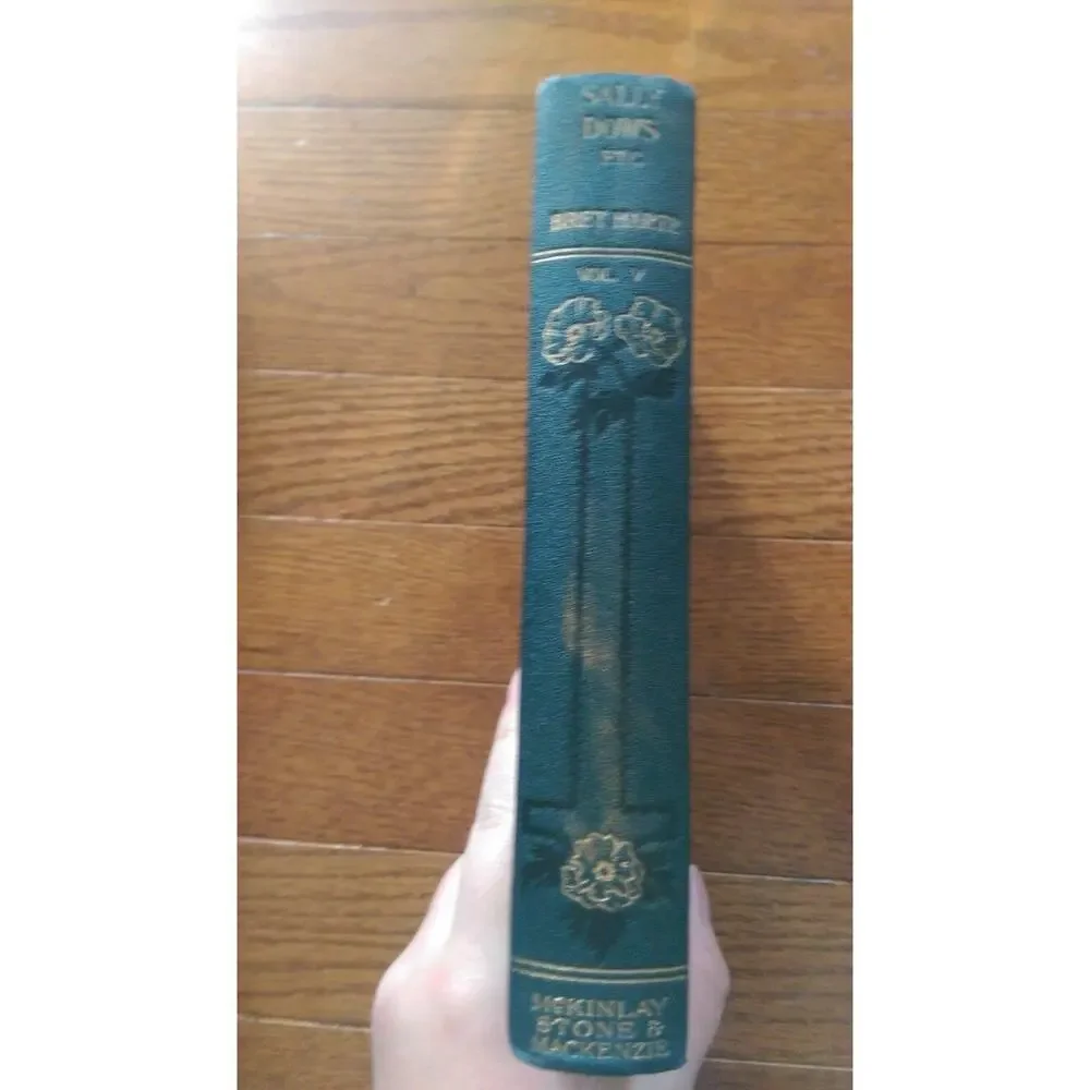 The Works of Bret Harte - Vol V Sally Dows - McKinlay Stone & Mackenzie 1893